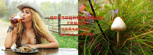МДПВ Алзамай