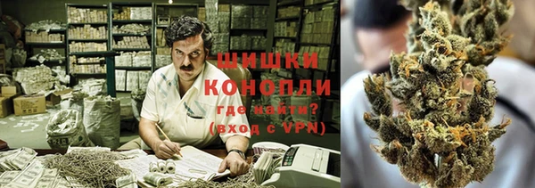 шишки Алексеевка