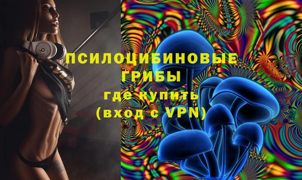 первитин Алексин